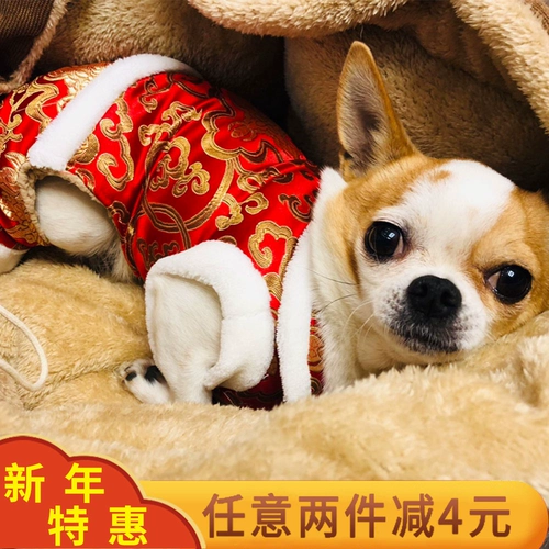 Интернет-знаменитость для собачьей одежды Tang Cust осень и зимняя одежда маленькая собака зимняя плюшевая одежда Женская четверономая одежда с утолщенной домашней одеждой