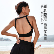 La Nikar sports underwear female collocation breast anti-sagging beauty back fitness big chest shockproof running yoga bra