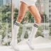 La Nikar vớ thể thao nữ ống giữa chạy thể dục vớ bê thoáng khí vớ cotton vớ nửa bóng chày vớ nam cổ cao Vớ thể thao