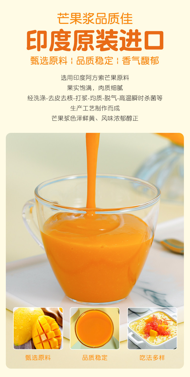 Mango Pulp_04.jpg