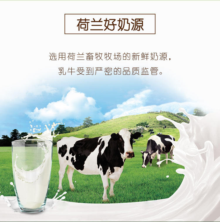 Голландские голландские черно -белые свежее молоко детали_03.jpg