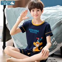 9908 Лев Король Мальчик