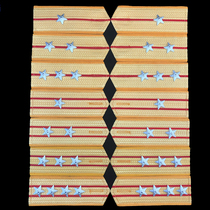  Veterans souvenir inventory 87 style 87 style hard epaulette badge Title Captain Retired veteran badge