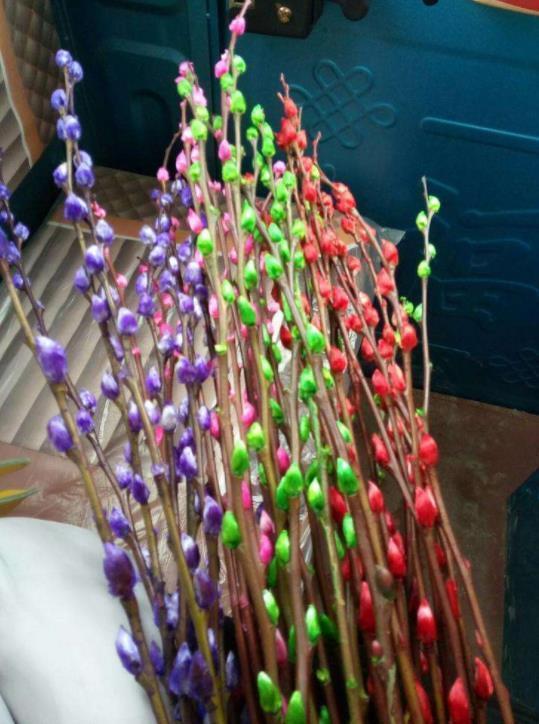 鲜花养不活,就养几株“干花”,久不褪色5