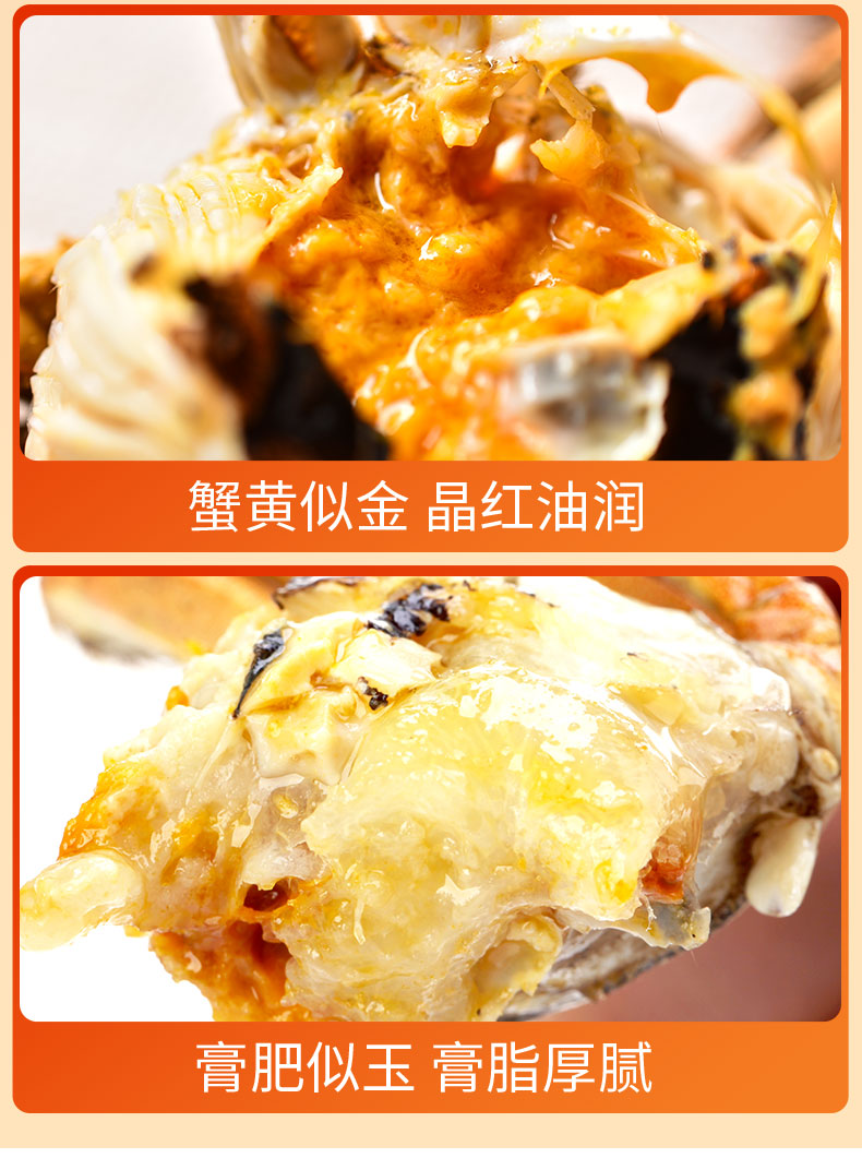 阳澄之王 14只现货 大闸蟹礼盒 公4两+母3两 图3