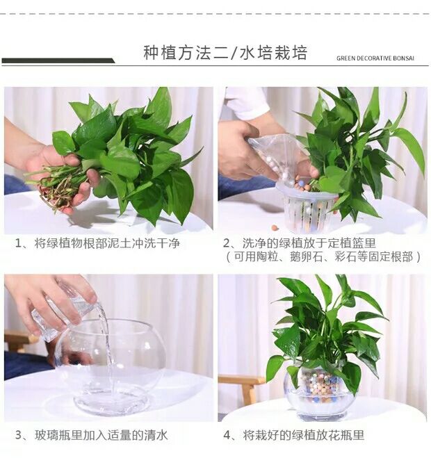 Bình thủy canh thủy tinh bể cá thủy tinh hoa hồng xanh bình gửi gửi trồng giỏ nước nuôi trồng dụng cụ trồng bình hoa đơn giản - Vase / Bồn hoa & Kệ những bình hoa đẹp