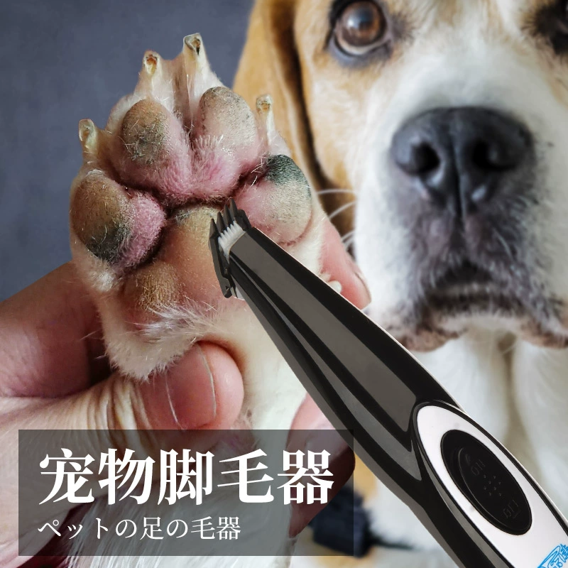 Pet dog cạo lông chân duy nhất móng chân lông chó lông mèo fader điện clipper Teddy cắt tóc tạo tác - Cat / Dog Beauty & Cleaning Supplies