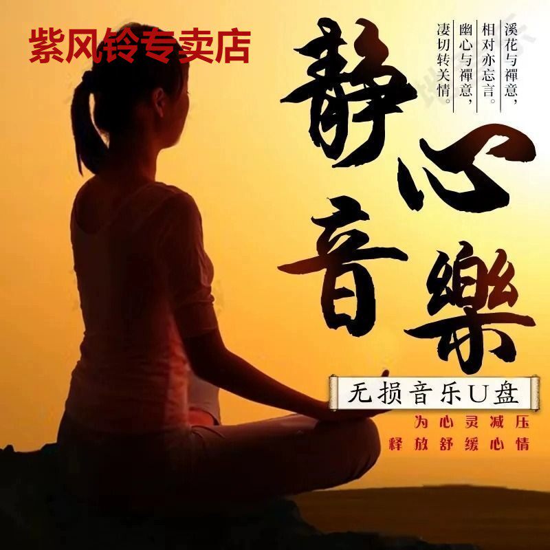 Beautiful Quiet Heart Light Music Tea Room Tea Room Background Pure Music U Pan Popular Guzheng Music Non Destructive High Sound Quality MP3-Taobao