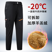 Assault pants mens winter plus velvet thickened removable middle-aged dad cotton pants waterproof windproof pants plus size plus size