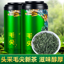 Wang Dang list Zhengzong Mao Jian Tea 2022 New tea Ye Ming Former Spring Tea Shoots Bulk Gift box with green tea 500g