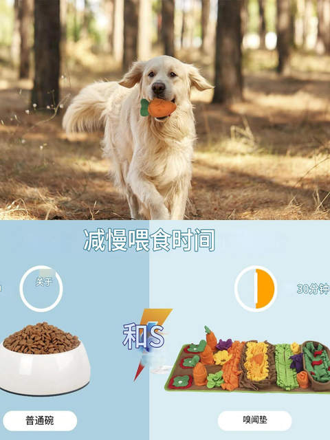 Send a Sound Toy! Garden Dog Sniffing Mat Training Puzzle Foraging and Sniffing Toy Hidden Food Sound Slow Food Mat