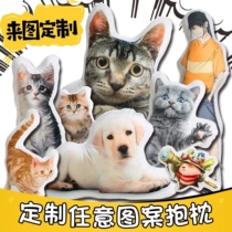 DIY customized no-stroke pillows of any shape for cats dogs pet dolls special-shaped pillows and cushions