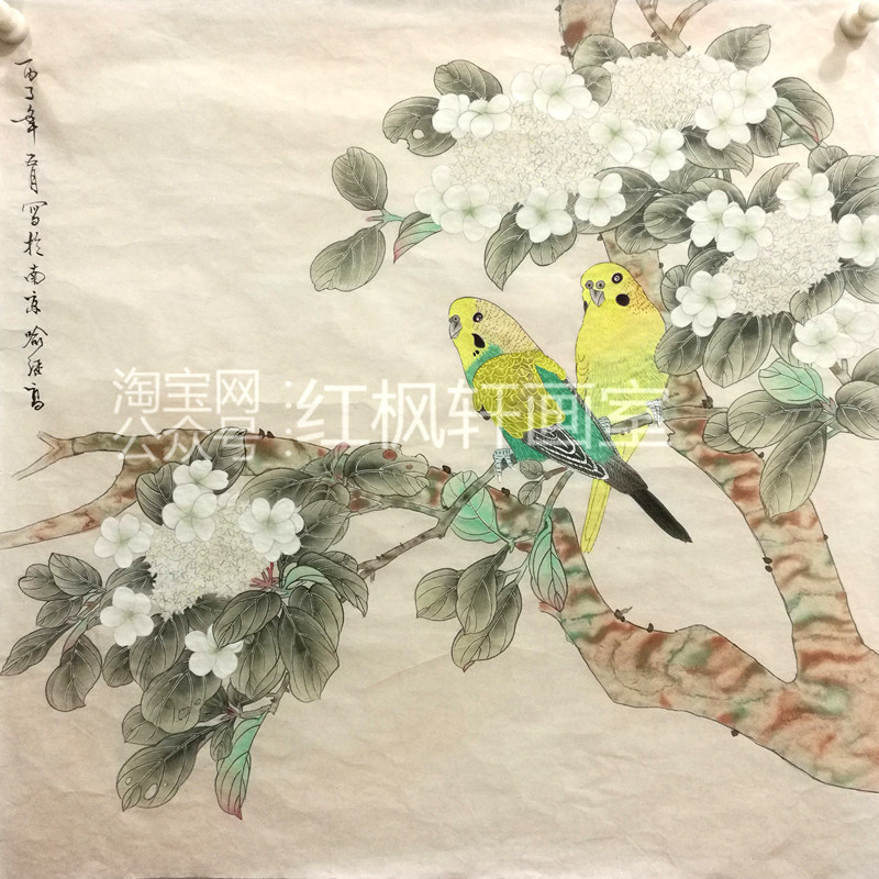 工笔画白描底稿鹦鹉琼花鸟国画熟宣纸手绘稿四尺斗方仿古装饰字画-淘宝