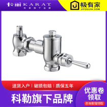 Thailand Kali toilet stool squat pit squat toilet Hand-pressed flush valve switch All copper 17903T-C
