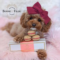 Bonne et Filou Dog Macaron American original imported pet snacks to grind their teeth with natural 6 grains