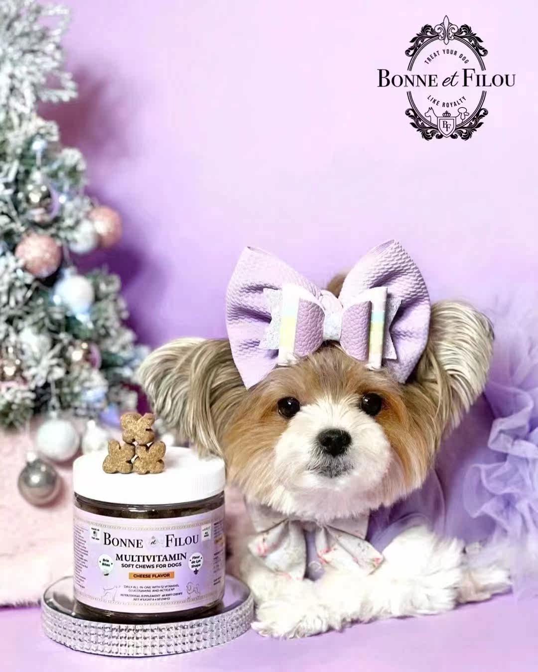 American Bonne et Filou pet health care products BF multi-effect vitamin tablets cheese flavor 60 pieces