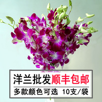 Flowers families in Yunnan flowers with flowers in direct batch Thai foreign lands and white Lanvain hearts and dances Lanfresh cut floral couriers