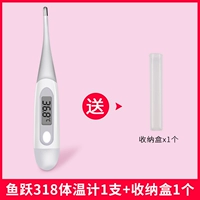 Термометр, коробка для хранения, 1 шт, 1 шт