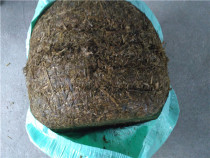 Corn silage feed full plant with baton with grain straw silage straw silage pig cows sheep Horse goose feed