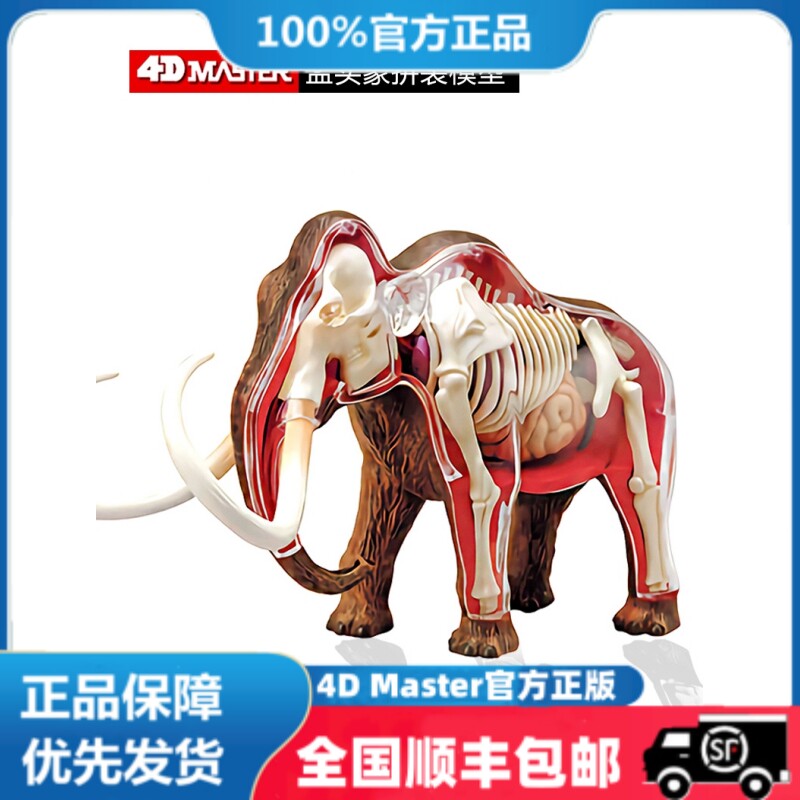 4D Master益智拼装玩具仿真动物生物猛犸象器官解剖模型医学教学