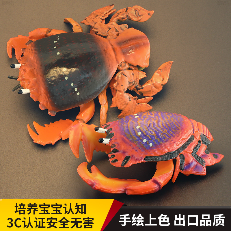 Children's Realistic Sea Animal Toy Model: Tiger Crab, Frog Crab, Sun Crab, Shrimp, Head-Shaped Cognitive Gift Ornament Children's Realistic Sea Animal Toy Model: Tiger Crab, Frog Crab, Sun Crab, Shrimp, Head-Shaped Cognitive Gift Ornament