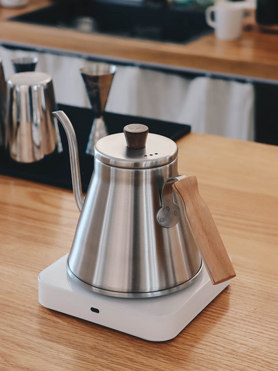 304 Stainless Steel Hand-Brewed Coffee Pot, Large Capacity, Professional Coffee Hand-Brewed Pot, Long Spout, Thin Spout, Gooseneck Pot, Commercial Model