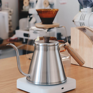 304 Stainless Steel Hand-Brewed Coffee Pot, Large Capacity, Professional Coffee Hand-Brewed Pot, Long Spout, Thin Spout, Gooseneck Pot, Commercial Model