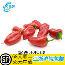 (Blue brand) fruit color pepper Sweet Peppers mini fruit pepper pepper 500g