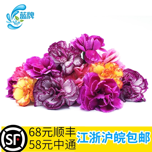 (Blue brand)fresh carnations, flowers, edible supplies, decoration of hotel catering, 15 flowers