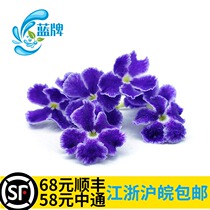 (Blue brand)Fresh golden dew flower false forsythia flower Chocolate flower dessert hotel decoration plate 50 flowers