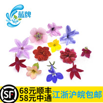 (Blue brand)Fresh mixed miniature flower Pansy five-star flower Western hotel Japanese dish decoration 60 flowers