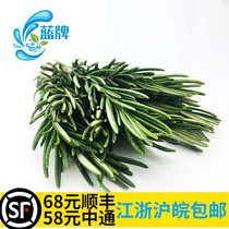 (Blue Label)Fresh Rosemary Rosemary Fresh Vegetables Fresh Spices 100g Non-thyme