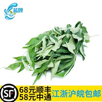 (Blue Brand) Fresh curry leaves fresh spices Western food fresh spices 100g