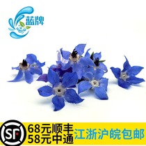(Blue brand)Fresh borage flowers Blue star flowers Edible supplies Decorative catering plate flowers 40 flowers
