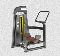 Rotating Torsion Waist Comprehensive Training Machine Professional Fitness Room Commercial Power Type Equipment Sports Sports Equipment