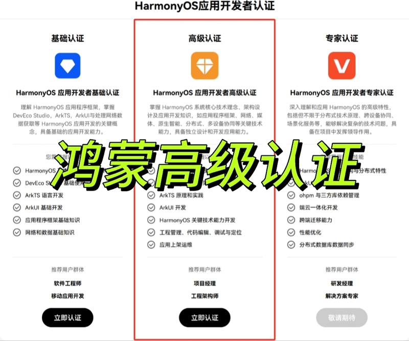 Hongmeng Harmonyos Harmonyos Application Developer Advanced Certification Direct Access Coaching Service