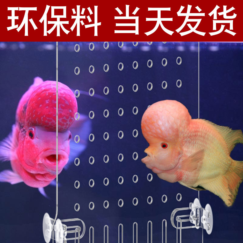 Besson isolation net Separation baffle isolation net Acrylic splicable glass transparent partition board Fish tank isolation board