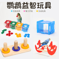 Parrot toys Peony parrot toys Bird educational toys Xuanfeng toys Pet bird coin box Parrot training