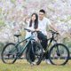 Xds Xidesheng 산악 자전거 Rising Sun 350 산악 자전거 남녀 학생 Shimano 24단 자전거