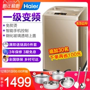 Máy giặt cầm tay tự động Haier 8,5 kg biến tần câm Haier / Haier EB85BM59GTHU1