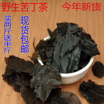 Natural wild fresh Chinese herbal medicine Mao holly tea Yunnan big leaf Kuding tea bitter sweet leaf bulk 500g