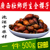 Guangxi Zhuang Township Wild Golden Cherry Seed Dried Fruit Brew Chinese Herbal Medicine Tinges Pears Golden Yingzi Mountain Stone Duri