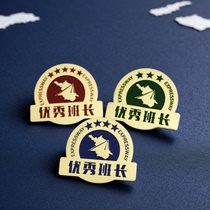 Customized metal badges school emblems and class emblems customized graduation souvenirs customized logos customized company emblems commemorative medals