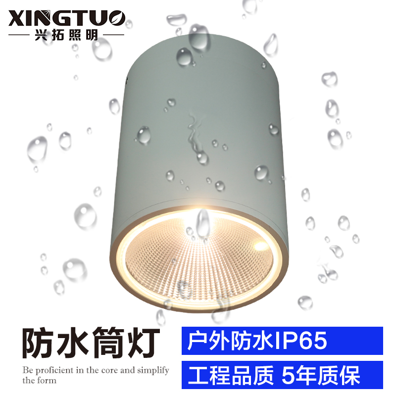 Waterproof and clear fitted cylinder light outdoor outdoor LED light shop door head Balcony Park Hallway Hotel Construction Rain Shed Light