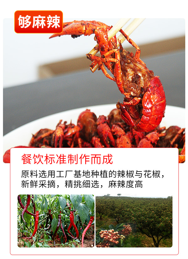 【稳定签到】麻辣小龙虾酱爆调料包150g