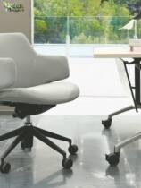 New Nordic comfortable fashion aluminum alloy can lie guests with wheelcomputer office chair backed and leisure middle chair