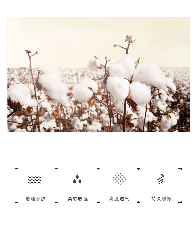 5 đôi vớ vớ nữ ống phiên bản Hàn Quốc của mùa xuân gió mùa xuân và vớ cotton mùa thu màu rắn Nhật Bản đôi kim thêu thông thường vớ của phụ nữ thủy triều - Bít tất nữ vớ dài