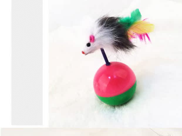 Pet mèo cung cấp đồ chơi mèo thỏ lông mèo vui mèo chuột hài hước mèo chó điên búp bê mèo yêu thích chơi đồ chơi chó mèo