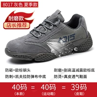 8017 серо-летние летни