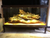 Taihang cliff cypress with the type of root carving ornaments Gold Silk Nanmu Silk Road is suitable for the living room hotel lobby